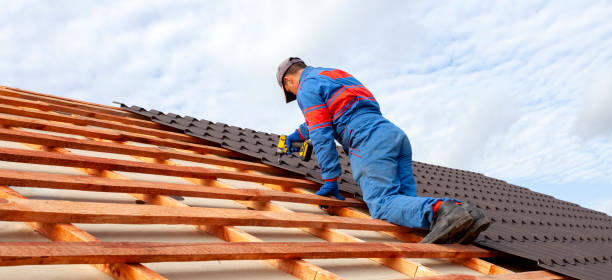 Professional Roofing and repair in Pine Hills, FL